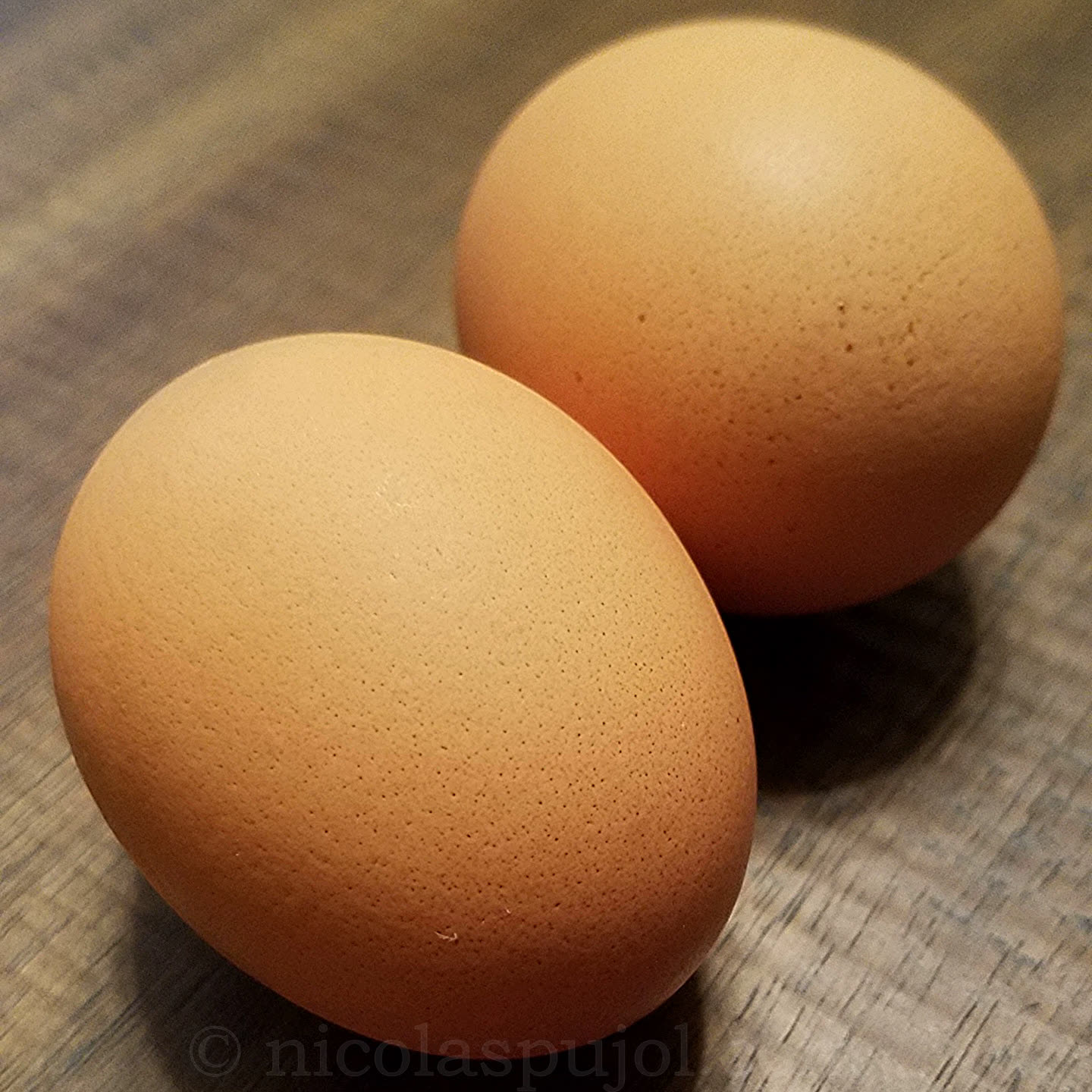 https://www.nicolaspujol.com/wp-content/uploads/2018/02/2-large-organic-brown-eggs.jpg