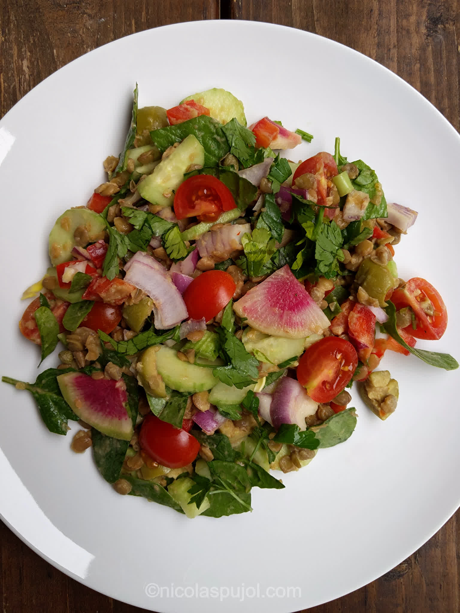 Green Lentil Salad - Salads - Nicolaspujol.com